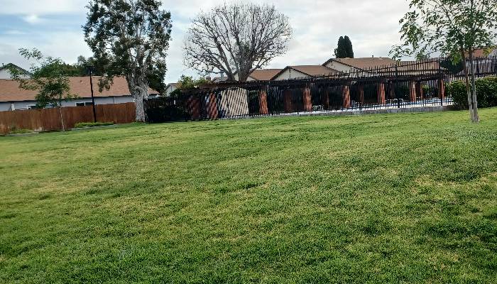 Mesa View HOA